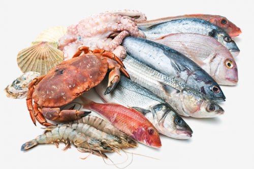 Комплексы для рыбы и морепродуктов